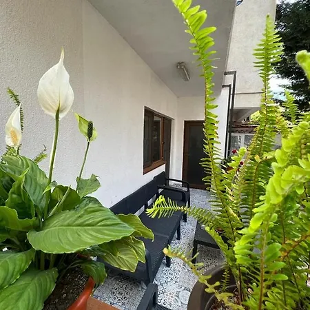 Casa Capitanului *